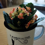 Photo n°1 de l'avis de Theo.. fait le 07/11/2022 à 17:09 sur le  Gasthaus zum Stiefel à Wangen im Allgäu