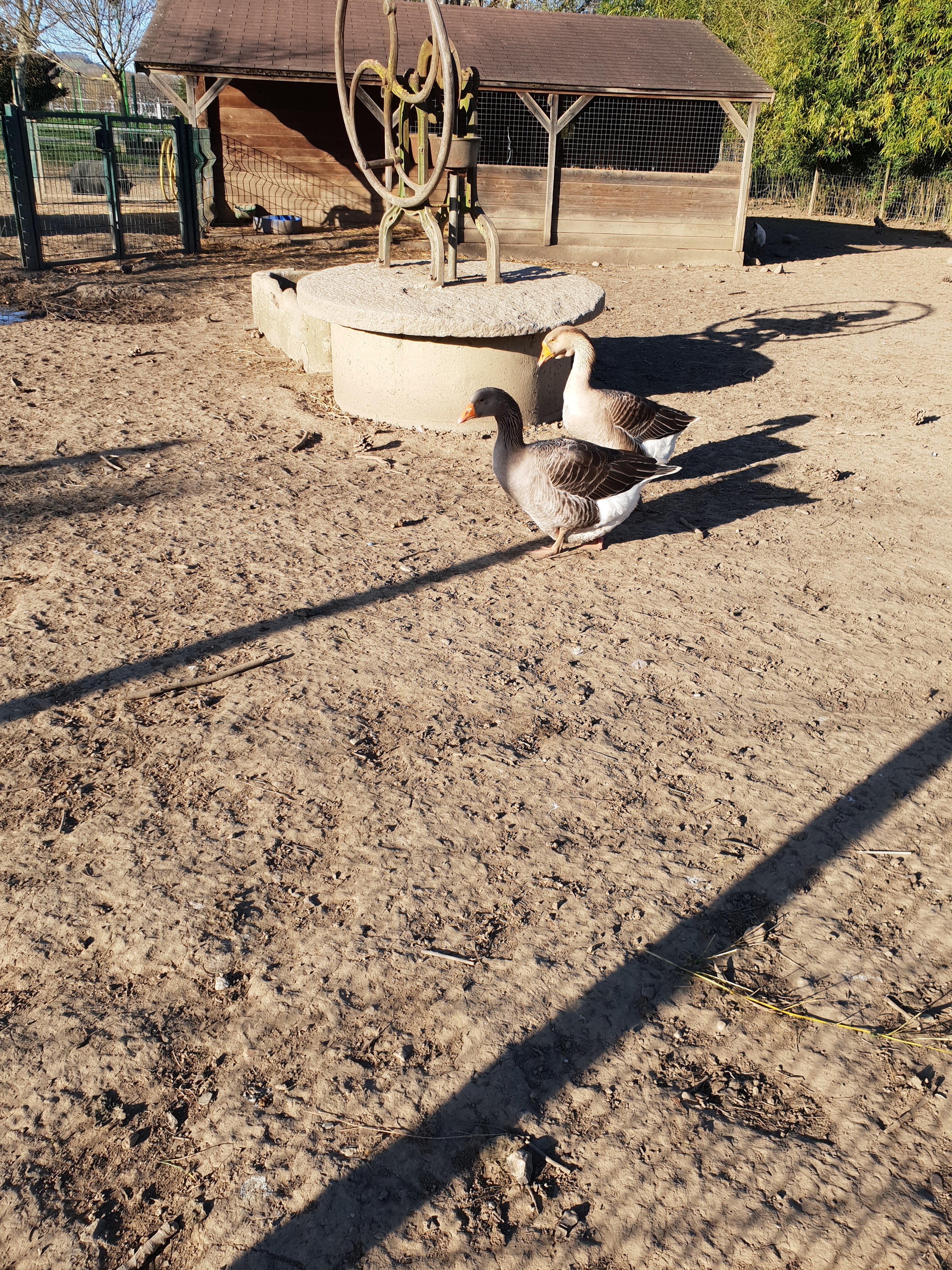 Photo n° 3 de l'avis de ROSELYNE.u fait le 09/03/2019 à 09:17