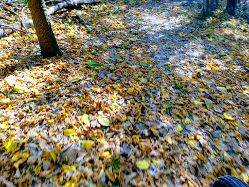 Park «California Crossing Park», reviews and photos, 5198 Riverside Dr, Irving, TX 75039, USA