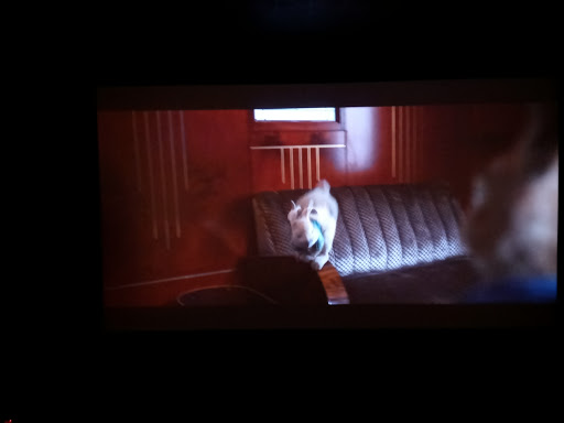 Movie Theater «Cinemark At Valparaiso», reviews and photos, 700 Porters Vale Blvd, Valparaiso, IN 46383, USA