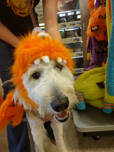 Pet Supply Store «PetSmart», reviews and photos, 358 Broadway, Saugus, MA 01906, USA