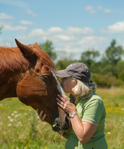 Corner Stone Farm Equestrian Centre - We DO NOT offer public trail rides