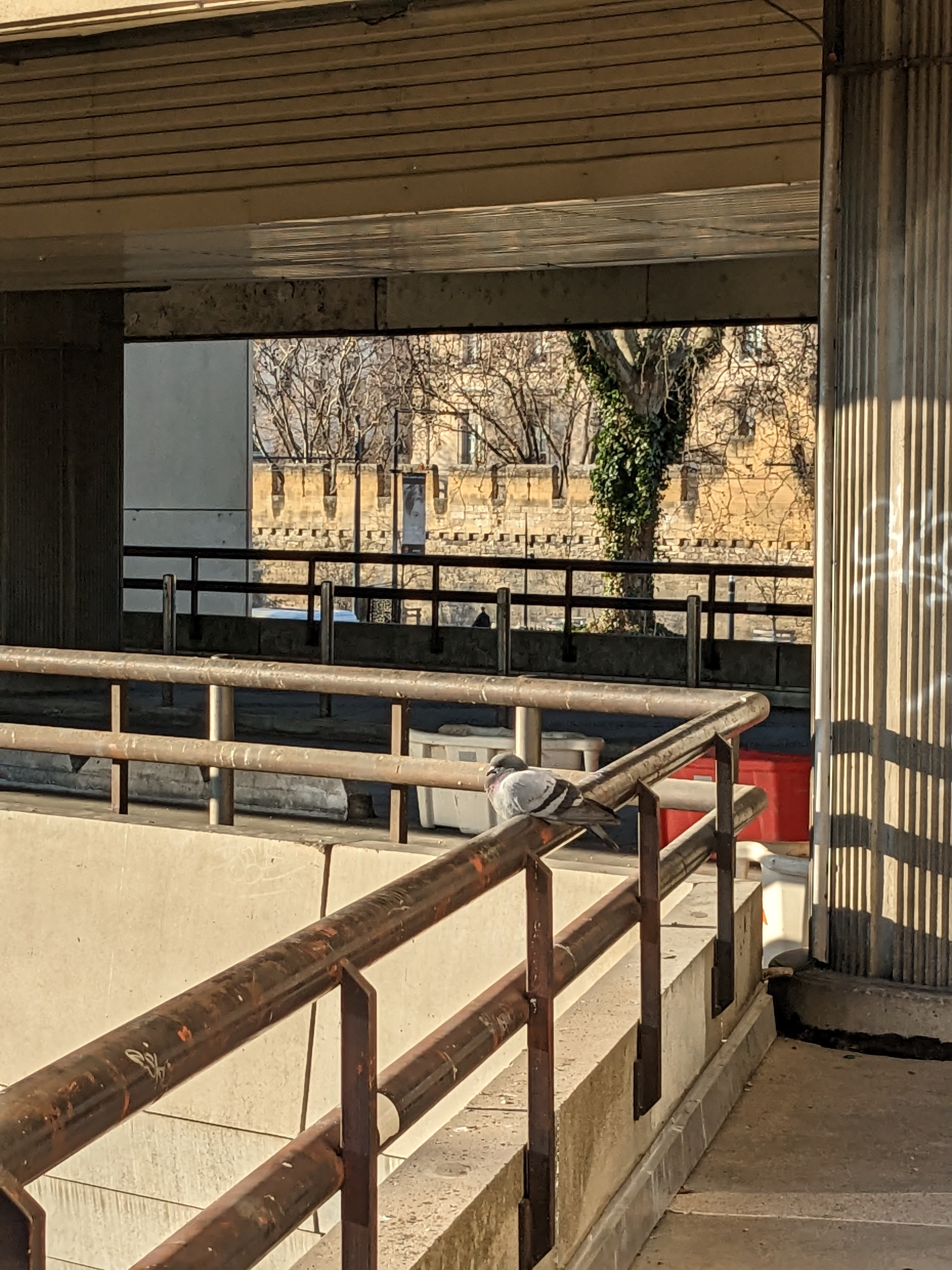 Photo n° 1 de l'avis de Gil.i fait le 21/12/2022 à 13:48