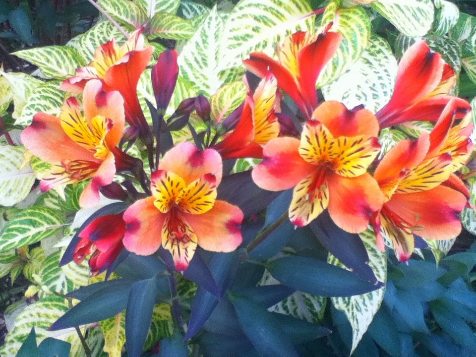 Green Trees Therapeutic Massage 06457