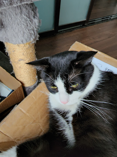 Pet Supply Store «PetSmart», reviews and photos, 4550 W Lake Mary Blvd, Lake Mary, FL 32746, USA