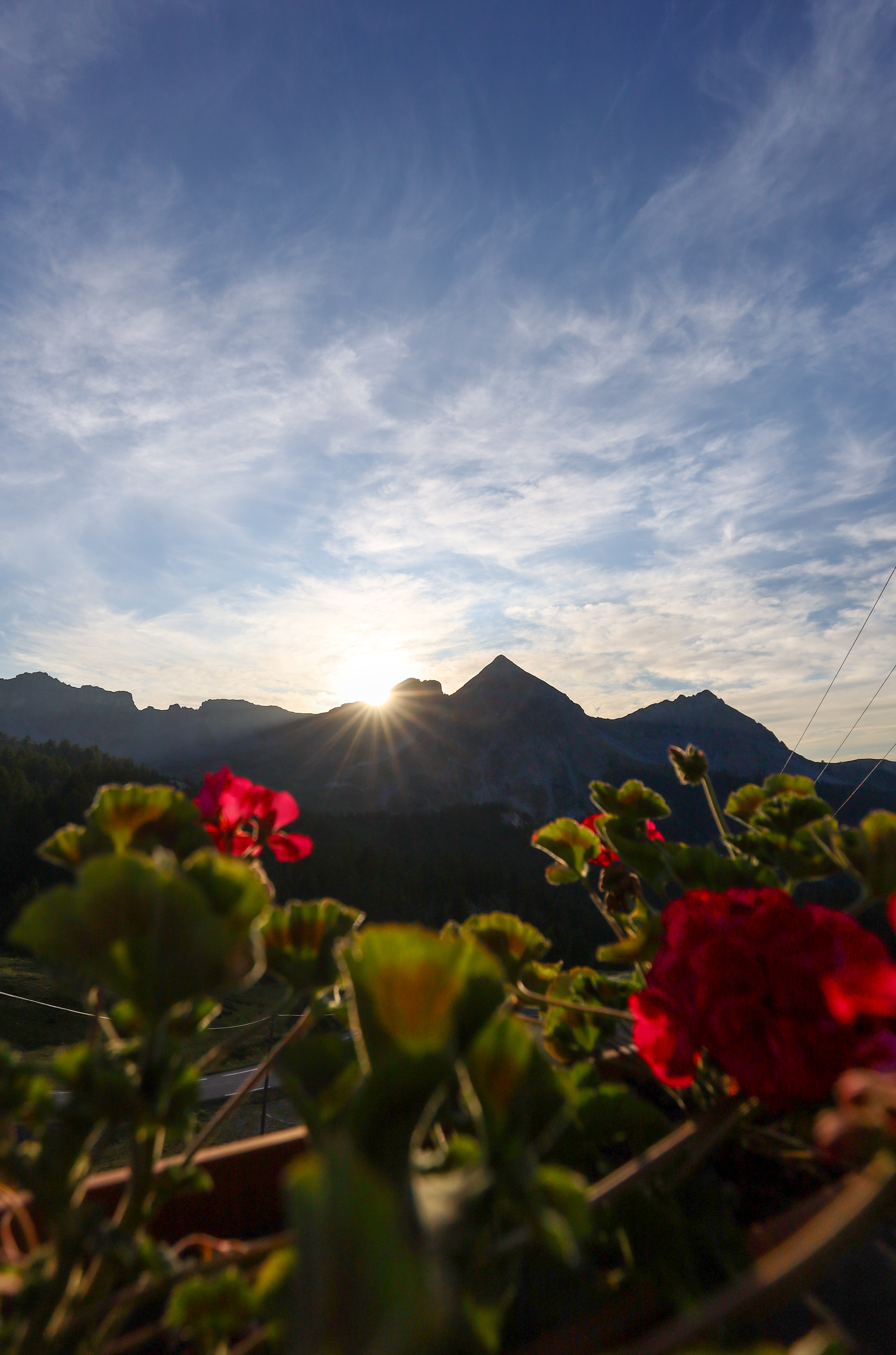 Photo n° 2 de l'avis de Hautes-Alpes.o fait le 21/07/2023 à 09:11