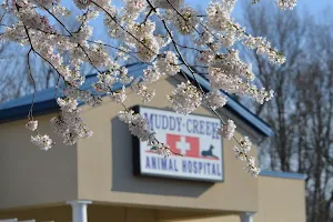 Muddy Creek Animal Hospital image