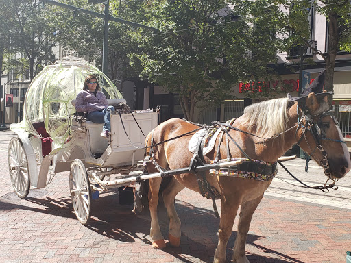 Nut Store «Peanut Shoppe Main Street», reviews and photos, 24 S Main St, Memphis, TN 38103, USA