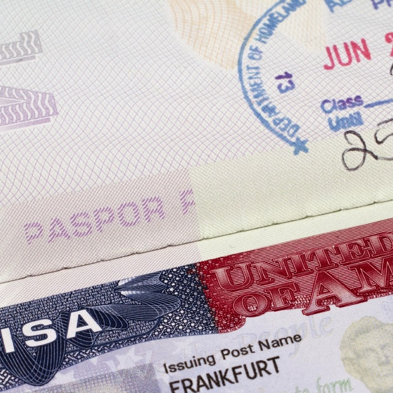 Greenberg Visa Law