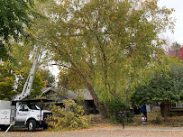 Trautman Lawn & Landscape - Photo 9 - Car repair in Nampa, ID, Nampa