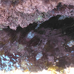 Photo n°1 de l'avis de Veronica.l fait le 13/07/2018 à 16:54 sur le  Sun Beach à Bari