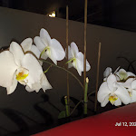 Photo n°6 de l'avis de Kailash.a fait le 13/07/2022 à 03:59 sur le  Pizzeria & Eiscafé Piccola à Lindau