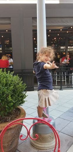 Computer Store «Apple Avalon», reviews and photos, 8130 Avalon Blvd, Alpharetta, GA 30009, USA