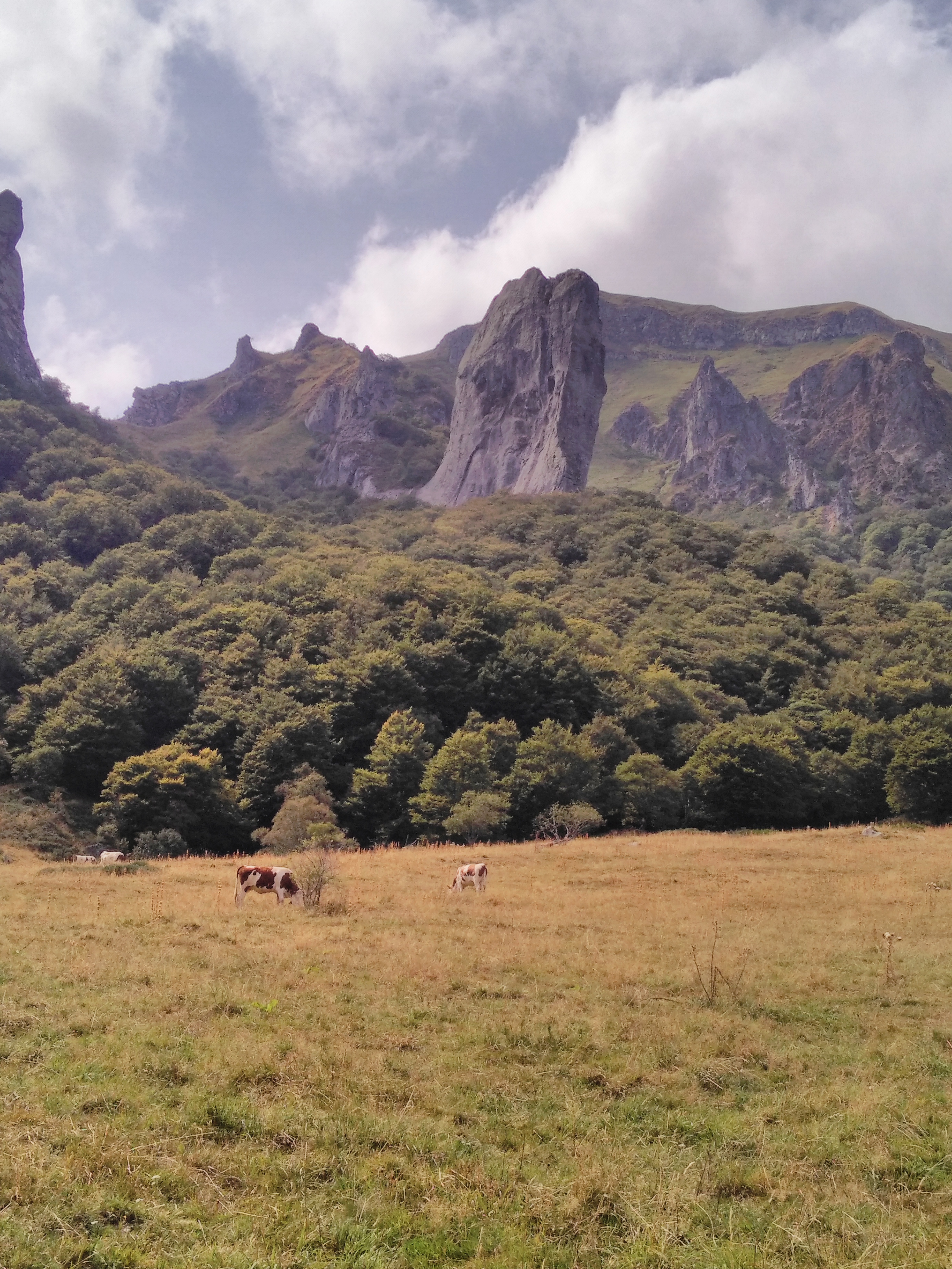Photo n° 2 de l'avis de Anna.J fait le 31/08/2018 à 16:35