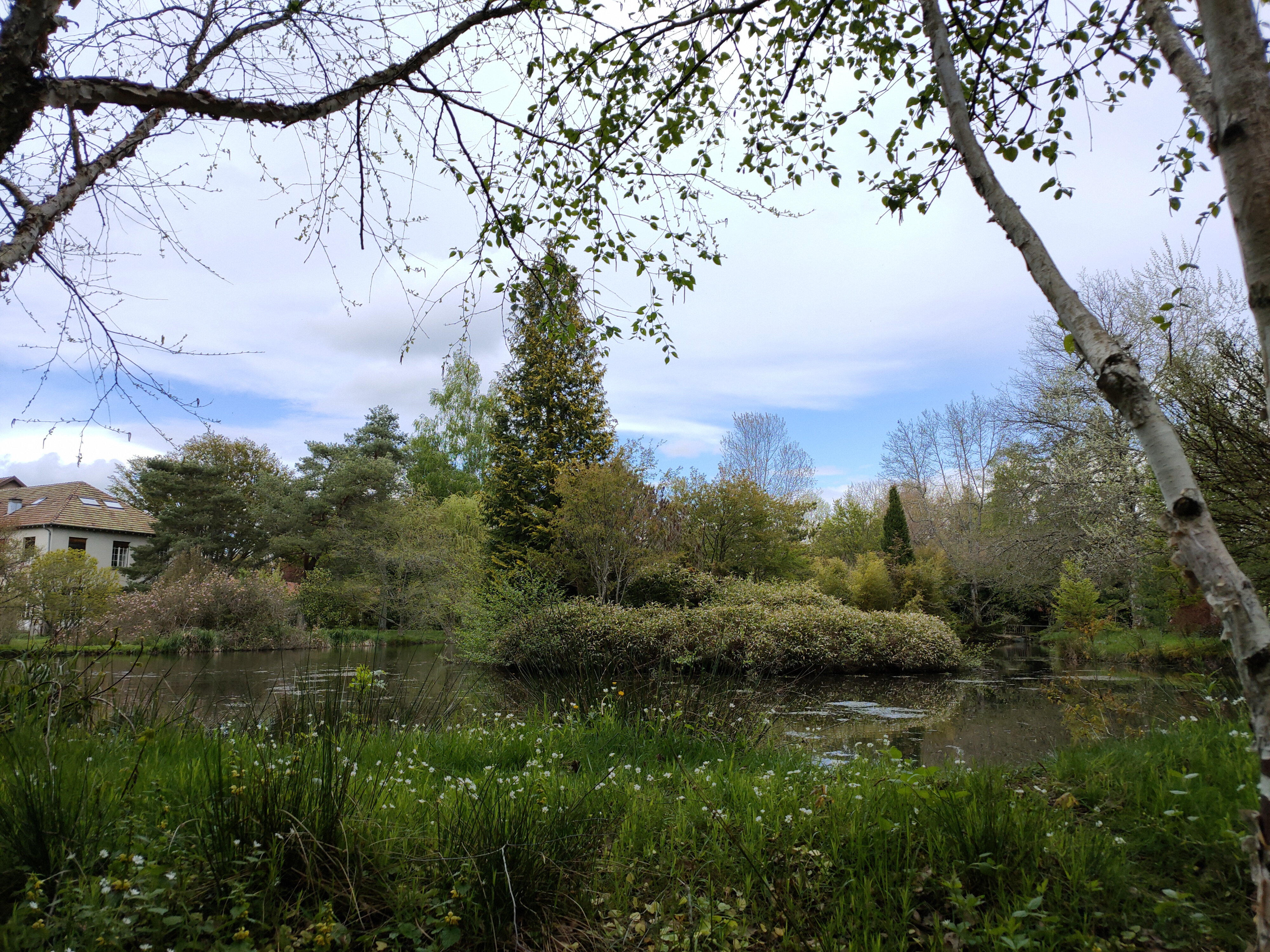 Photo n° 12 de l'avis de Raphael.r fait le 14/05/2021 à 17:07