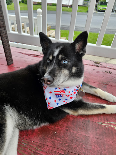 Fox Breeze Kennel & Grooming, INC.