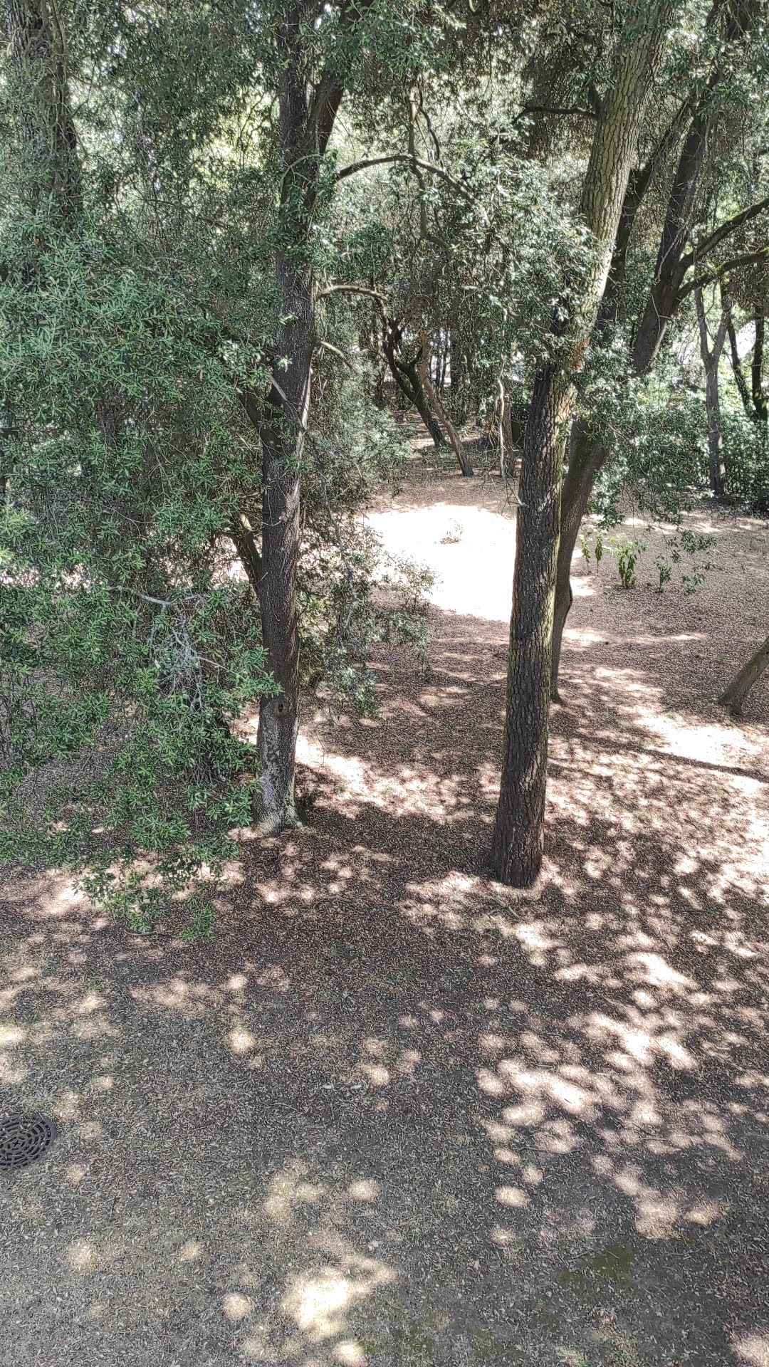 Photo n° 1 de l'avis de Ethan.i fait le 16/07/2022 à 13:44