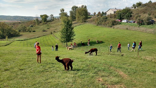 Boutique «Alpacas of the Heartland LLC», reviews and photos, 7016 County Rd 39, Fort Calhoun, NE 68023, USA