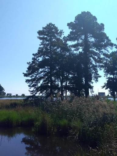 Tourist Attraction «Wetlands overlook park», reviews and photos, 4020 11th St, North Beach, MD 20714, USA