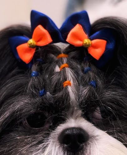 CHICKÃO PET SHOP taguatinga-sul Brasília