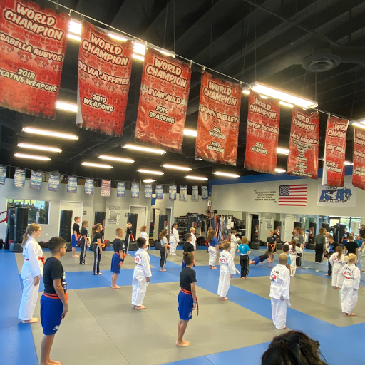 Martial arts club Henderson