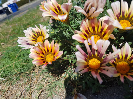 Valley Village Park image