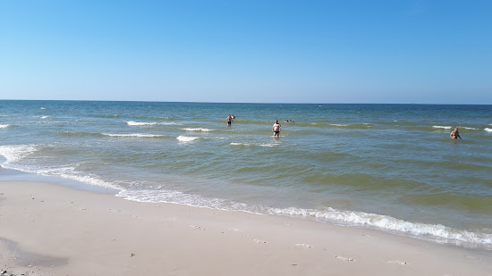 Osetnik Beach