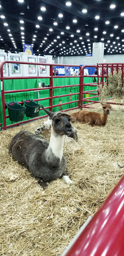 Arena «Freedom Hall», reviews and photos, 937 Phillips Ln, Louisville, KY 40209, USA