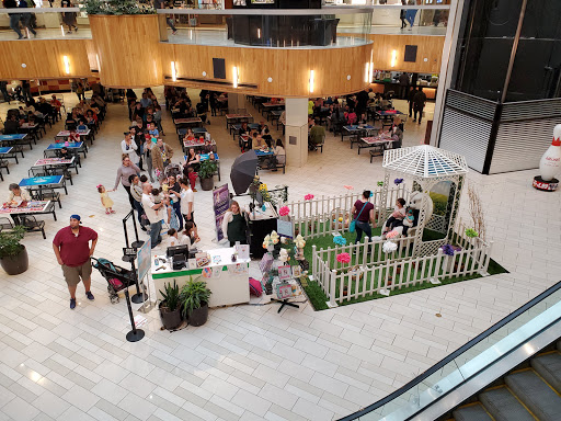 Shopping Mall «Holyoke Mall», reviews and photos, 50 Holyoke St, Holyoke, MA 01040, USA