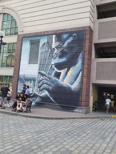 Movie Theater «Regal Cinemas New Roc 18 IMAX & RPX», reviews and photos, 33 Lecount Pl, New Rochelle, NY 10801, USA