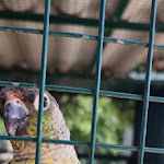 Photo n°4 de l'avis de Ale.o fait le 09/08/2023 à 11:29 sur le  Ristorante Hostaria Germoglio à Verdello