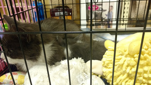 Pet Supply Store «PetSmart», reviews and photos, 11835 Retail Dr, Wake Forest, NC 27587, USA