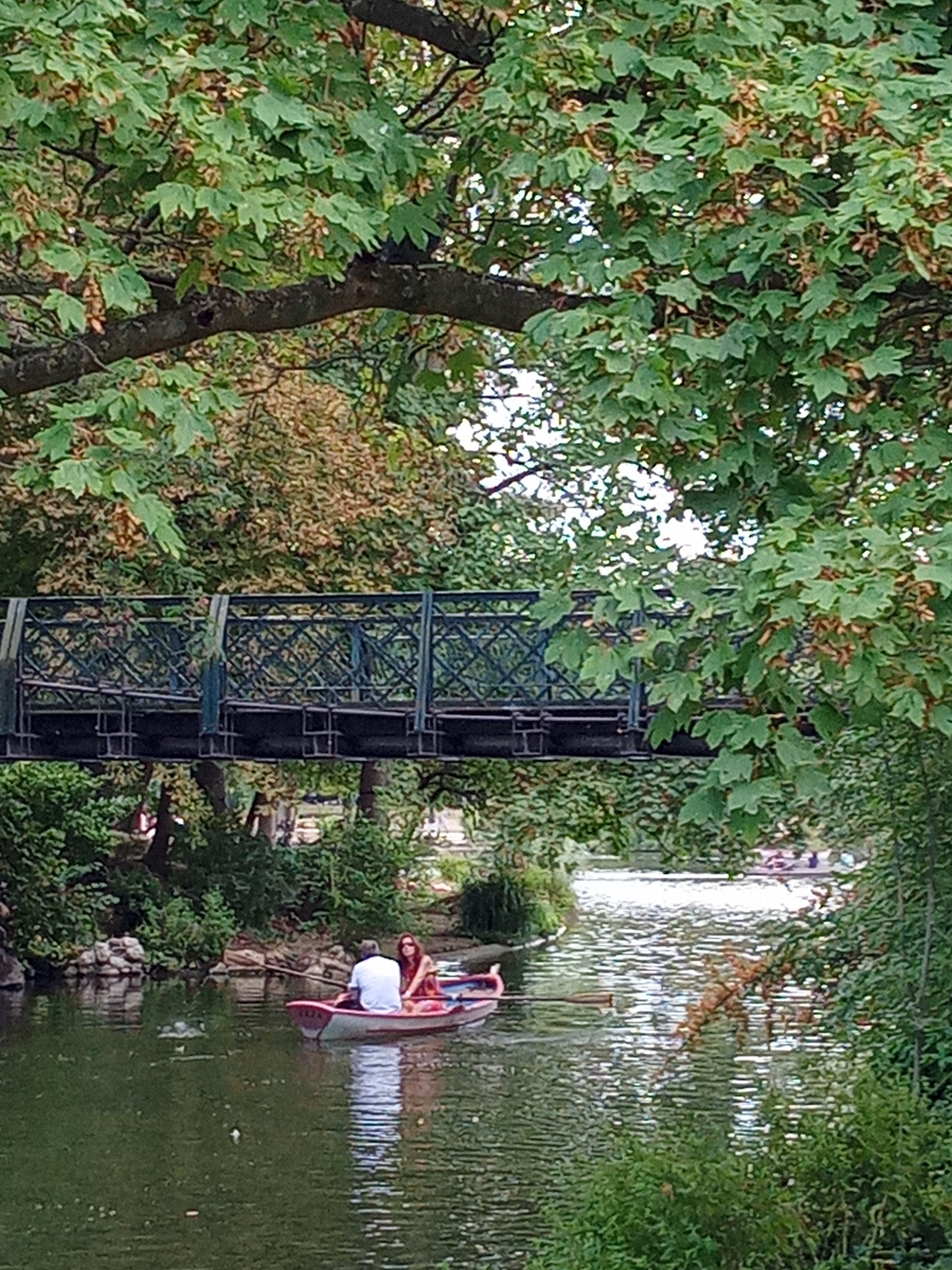 Photo n° 6 de l'avis de Etoile.e fait le 31/08/2020 à 06:33