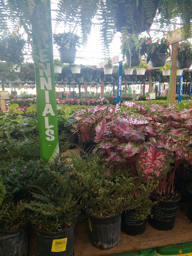 Home Improvement Store «Menards», reviews and photos, 4501 W North Ave, Chicago, IL 60639, USA