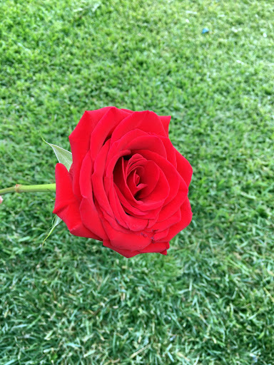 Florist «Secret Garden Florist», reviews and photos, 6076 Lincoln Ave, Cypress, CA 90630, USA