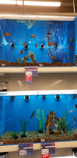 Pet Supply Store «PetSmart», reviews and photos, 367 Mt Hope Ave, Rockaway, NJ 07866, USA