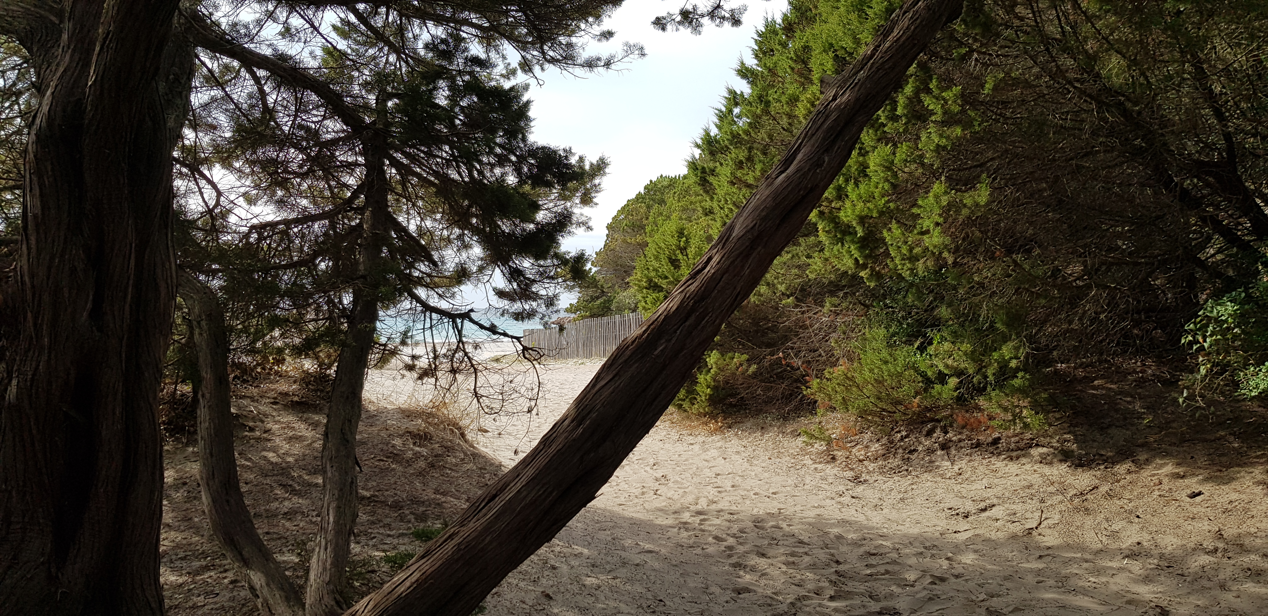 Photo n° 2 de l'avis de Christelle.e fait le 20/10/2018 à 11:49