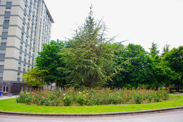 Centro de Salud Sansomendi