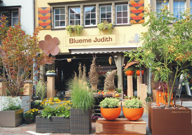 'Blueme Judith' Judith Schmidheiny-Eugster