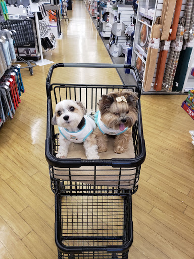 Department Store «Bed Bath & Beyond», reviews and photos, 10500 Ulmerton Rd, Largo, FL 33771, USA