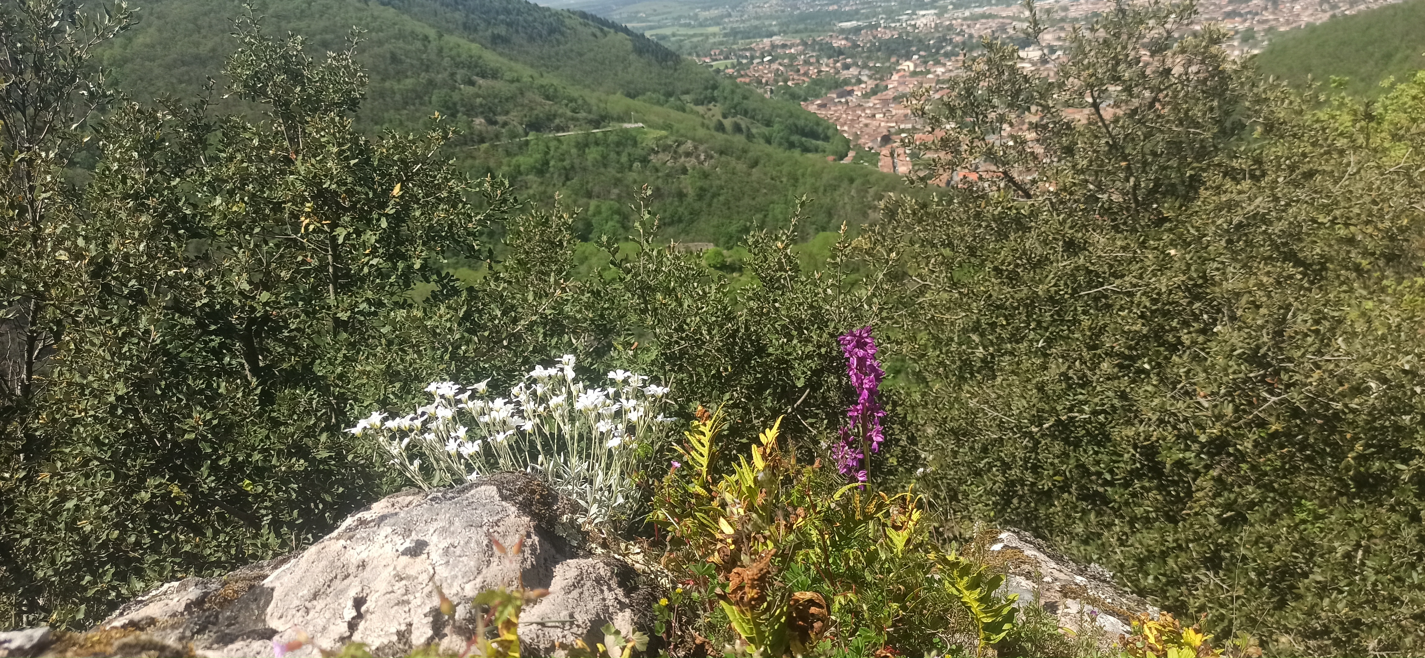 Photo n° 5 de l'avis de Frédéric.a fait le 13/05/2023 à 20:02