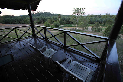 Proboscis Lodge Bukit Melapi