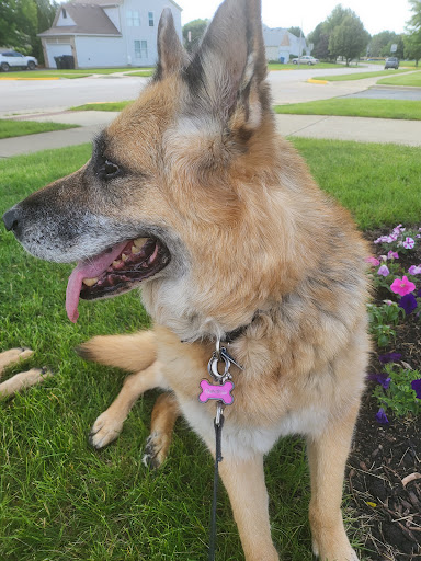 Park «Jim Hansen Park», reviews and photos, 338 Valley Forge Ave, South Elgin, IL 60177, USA