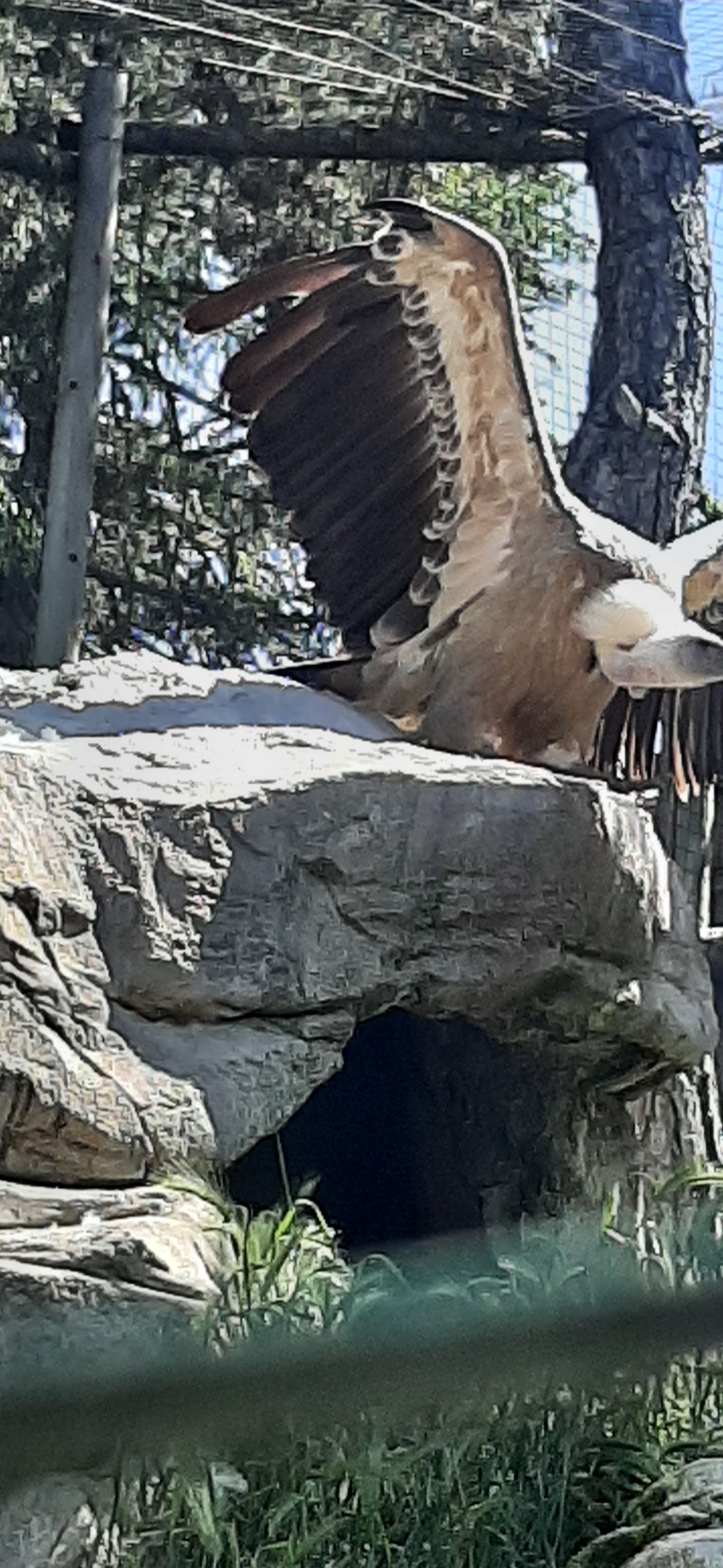 Photo n° 15 de l'avis de Thierry.a fait le 12/06/2023 à 20:21