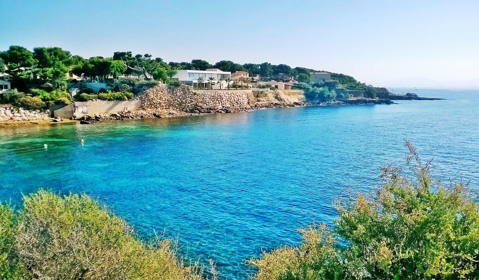 Plage du Grand Rouveau'in fotoğrafı vahşi alan