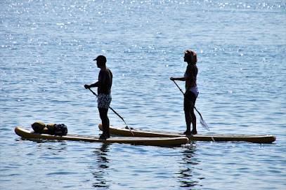 RENT A SUP ON LAKE BLED