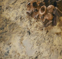 BPS Supply Co - Photo 5 - Car repair in Spokane, WA, Spokane