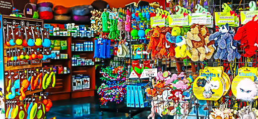Pet Supply Store «Patton Avenue Pet Company- South», reviews and photos, 582 Hendersonville Rd #3, Asheville, NC 28803, USA