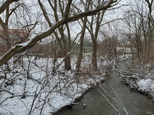 Florist «Kinsch Village Florist & Garden Center», reviews and photos, 301 Johnson St, Palatine, IL 60067, USA