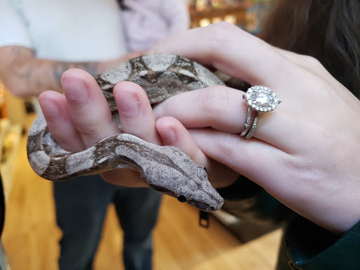 Pet Store «Critter Cabana», reviews and photos, 516 E 1st St, Newberg, OR 97132, USA